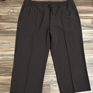 Athleta Women’s Pants Size 24 Brown Endeavor High Rise Relaxed Wide Leg